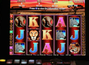 壹号娱乐电脑免费版