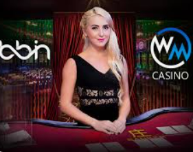 壹号娱乐2024最新版